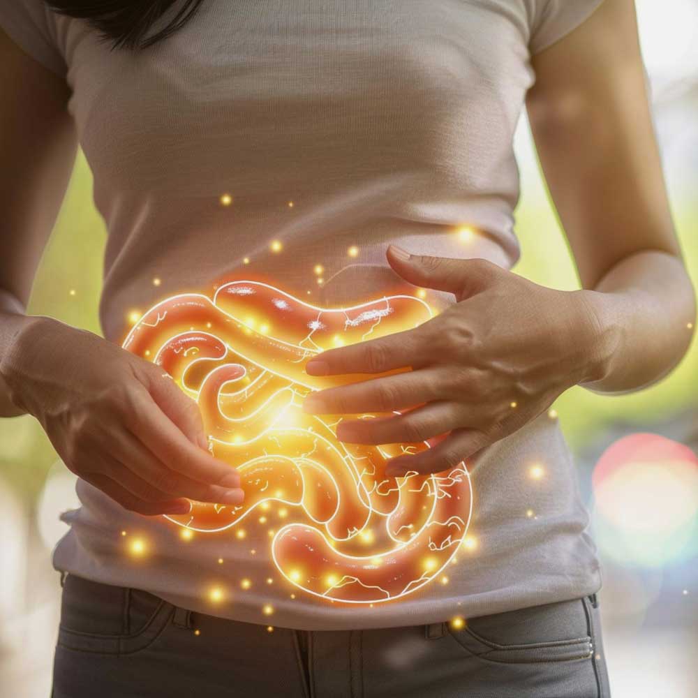 Microbiome Testing - Gut Health